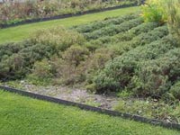 Soportes de cultivo origen mineral